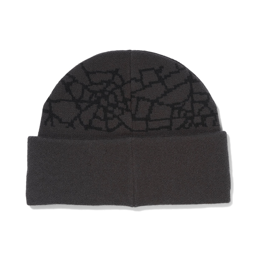 Mens Nebula Beanie - Polar